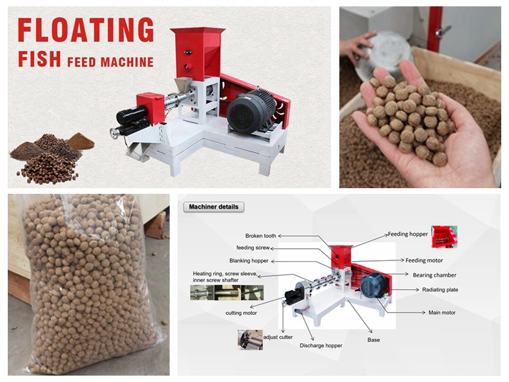 <h3>How To Buy Floating Fish Feed Extruder Machine In Nigeria</h3>
